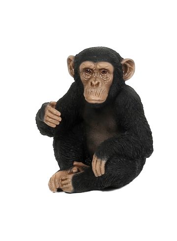 Dekoratif Şempanze